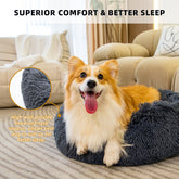 Pet Beds for Cats Dog Bed Washable