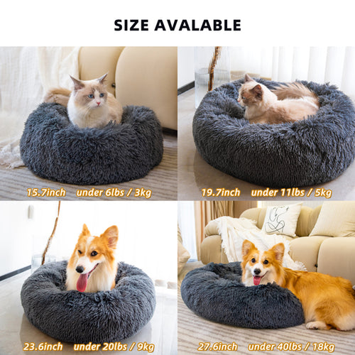 Pet Beds for Cats Dog Bed Washable