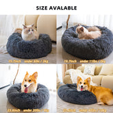 Pet Beds for Cats Dog Bed Washable