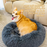 Pet Beds for Cats Dog Bed Washable